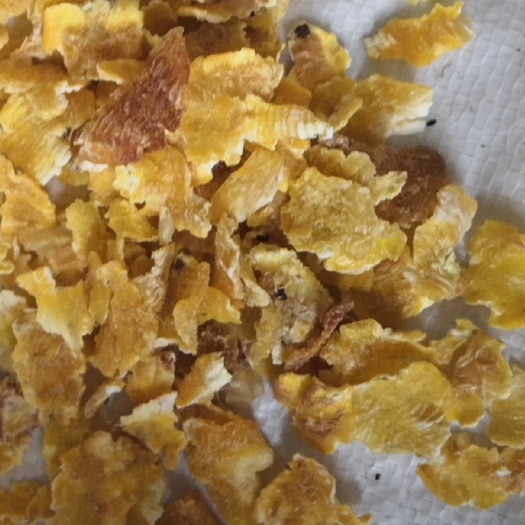 海伦市 高温熟化压片玉米牛羊好饲料。
