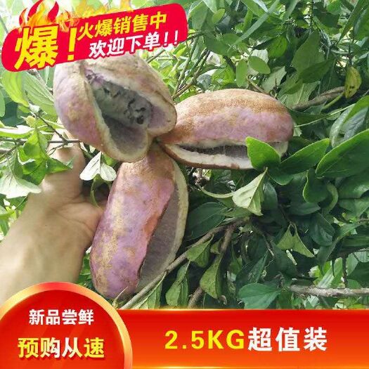 富川县八月瓜又名八月炸，是一种保健型水果，属于一种野生的果品，经过