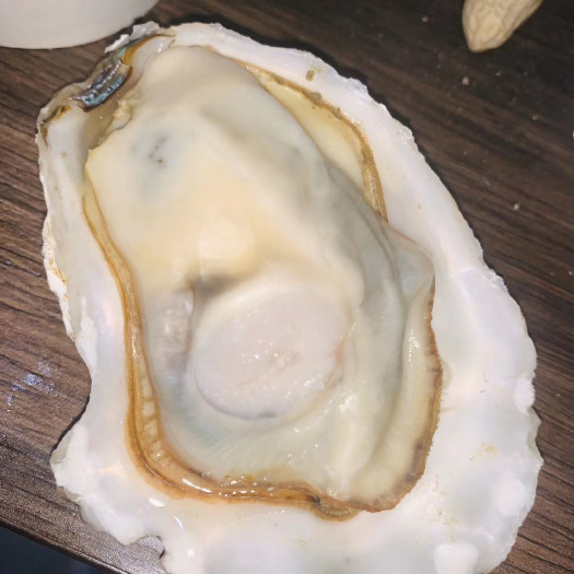 诏安县三倍体生蚝  最近就这种