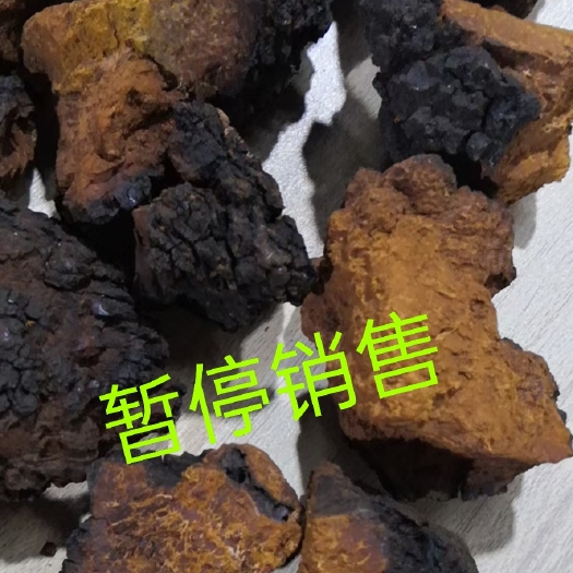 绥芬河市俄罗斯桦树茸  (1～8斤整块规格)