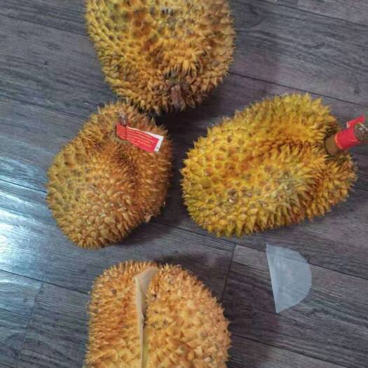 广州干尧榴莲 长柄榴莲，32斤净重，有需要的尽快联系