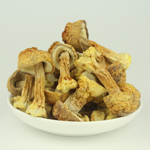 昆明产地批发 姬松茸 干货 食用菌 巴西菇