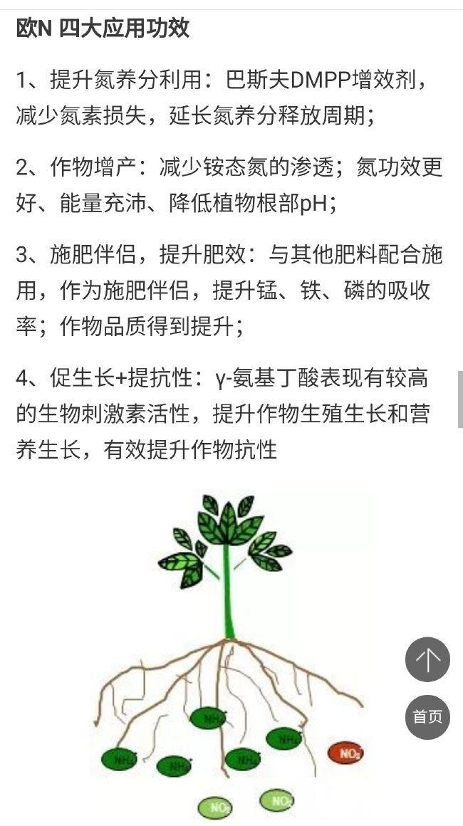 硫酸钾  巴斯夫维百锁DMPP稳定性复合肥来自巴斯夫欧州公司