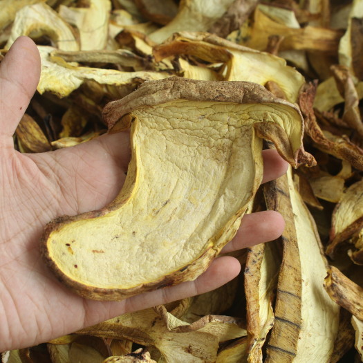 批发云南野生牛肝菌 白葱菌 黄牛肝菌 野生菌 食用菌 干货