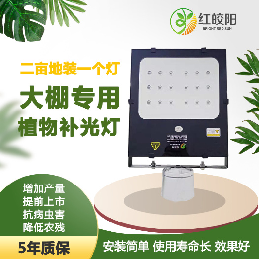 西安红皎阳激光植物补光灯温室大棚种植西红柿黄瓜甜瓜补光灯
