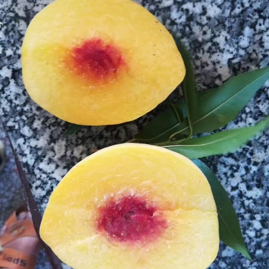 洞口县金童黄桃  自种私家货黄桃，湖南洞口名桃私家货，市面没有销售的。