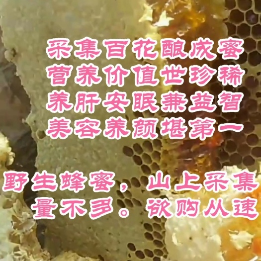 关岭县山中采集的土蜂蜜，欢迎订购