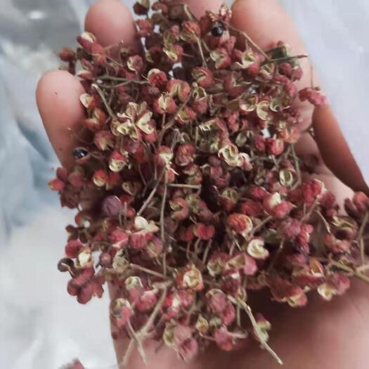 芮城县 花椒
