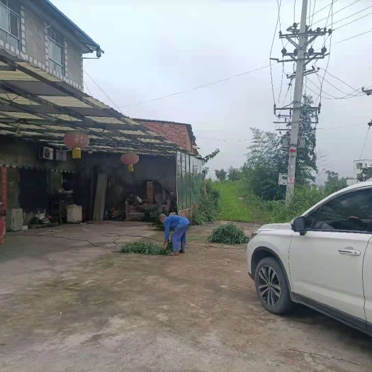 重庆市 重庆市永川区仙龙800平厂房出租