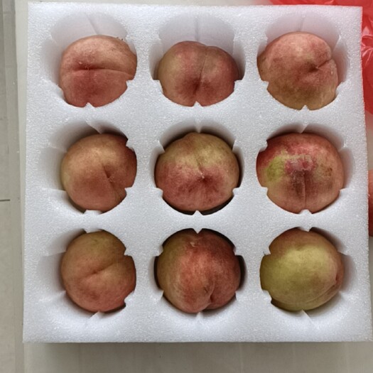 赵县泡棉  珍珠棉快递包装