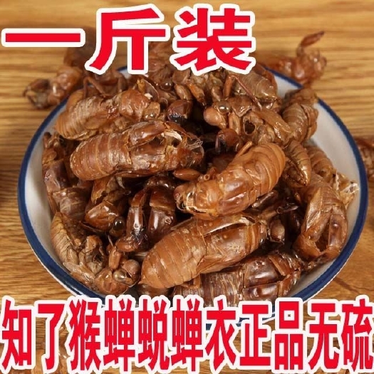 南充蝉蜕，蝉翼，蝉衣，蝉壳，知鸟壳，嗯啊壳