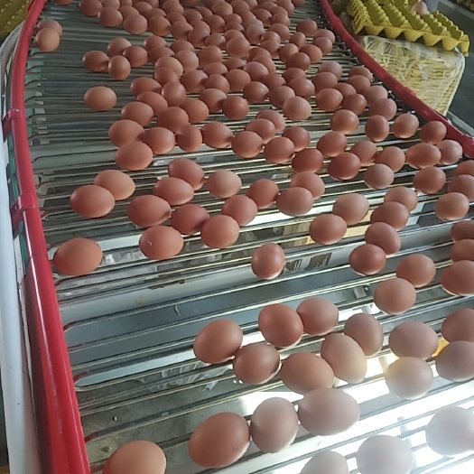 褐壳鸡蛋