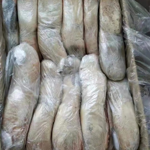 阳信县纯干牛舌 国产 单个2-3斤左右厂家直销一手货源