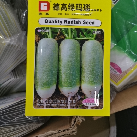 临沂水果萝卜种子 肉质根皮色深绿光滑，鲜食口感好