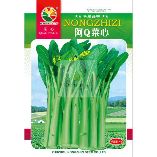 株洲甜菜心种子 菜心种子 阿Q菜心油绿菜心广心菜广东菜心种子早熟耐热菜苔