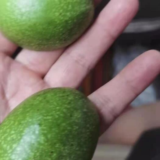赞皇县石家庄市赞皇县青皮核桃已经上市了，品种辽系，香玲，皮薄量大。
