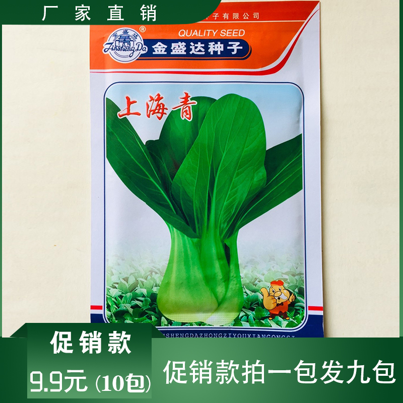 沭阳县上海青种子包邮优质品种大田用种青菜种子提供技术资料