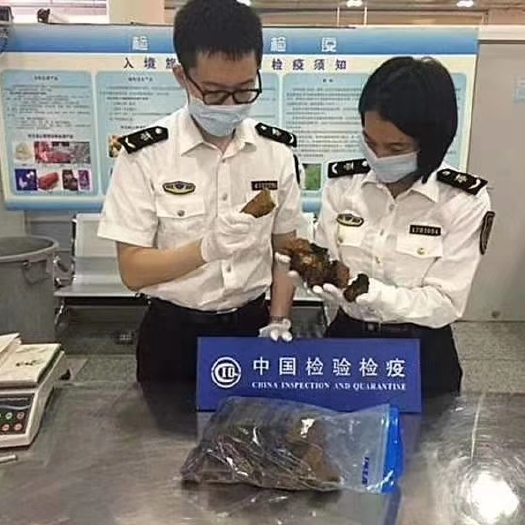 牡丹江黑金粉，桦树茸好产品