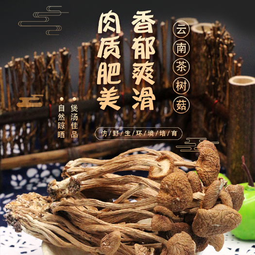 昆明茶树菇，新货，10斤包邮，厂家直发