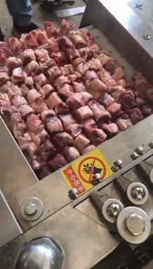 诸城市切肉机  鸡鸭排骨剁块机切块机