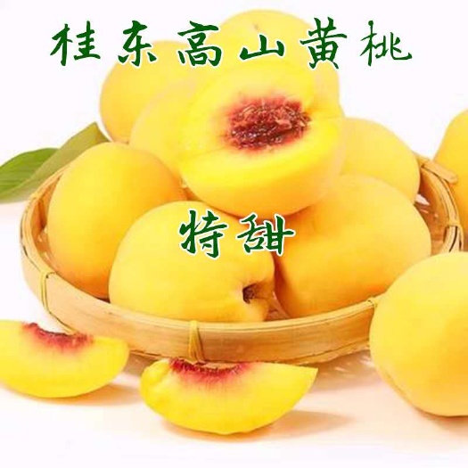 桂东县 正宗锦绣黄桃