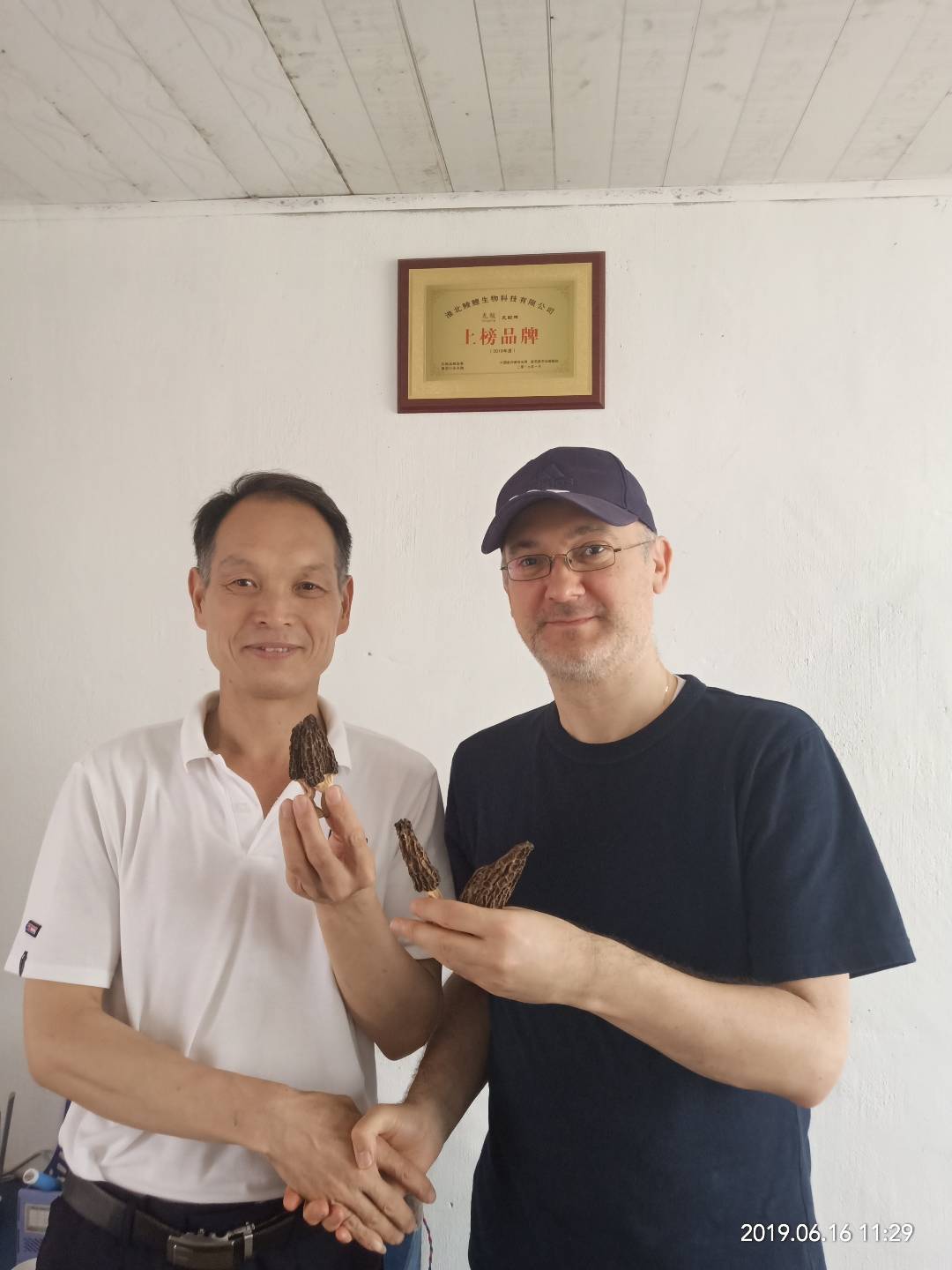 羊肚菌一亩地菌种400斤1800元免费提供技术服务回收产品