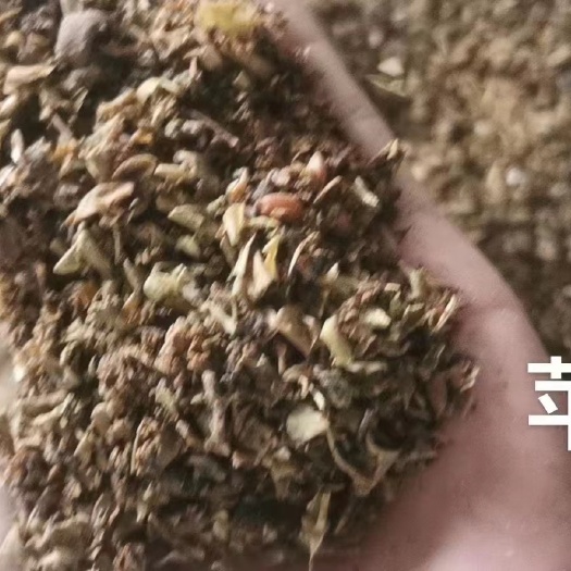 石家庄 烘干苹果渣，无霉变，一手货源