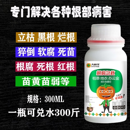 禹州市土壤微生物菌剂  大柿哥根腐专用微生物菌剂适用于果树草莓番茄大姜烂脖子
