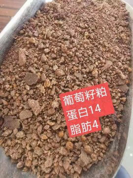 石家庄配合饲料 葡萄籽粕