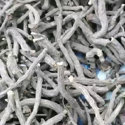 亳州白芍  高含量开花芍