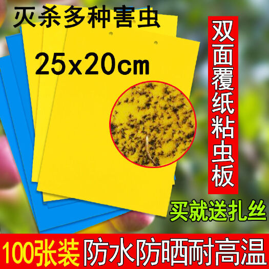 诱虫板  （买百送十）双面粘虫板粘虫板沾灭大棚果茶园飞虫蓟马