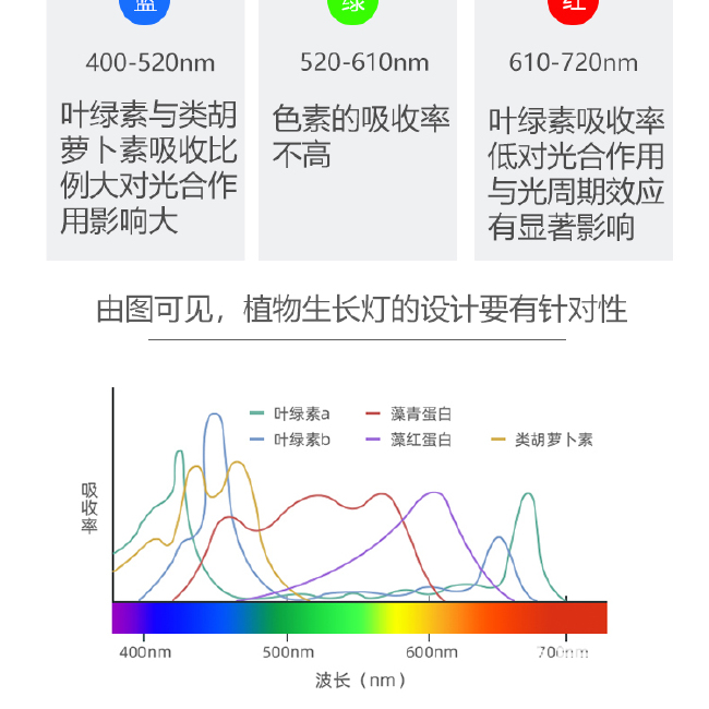 植物补光灯  厂家直销红皎阳植物生长灯阴雨天室内育苗蔬菜种植