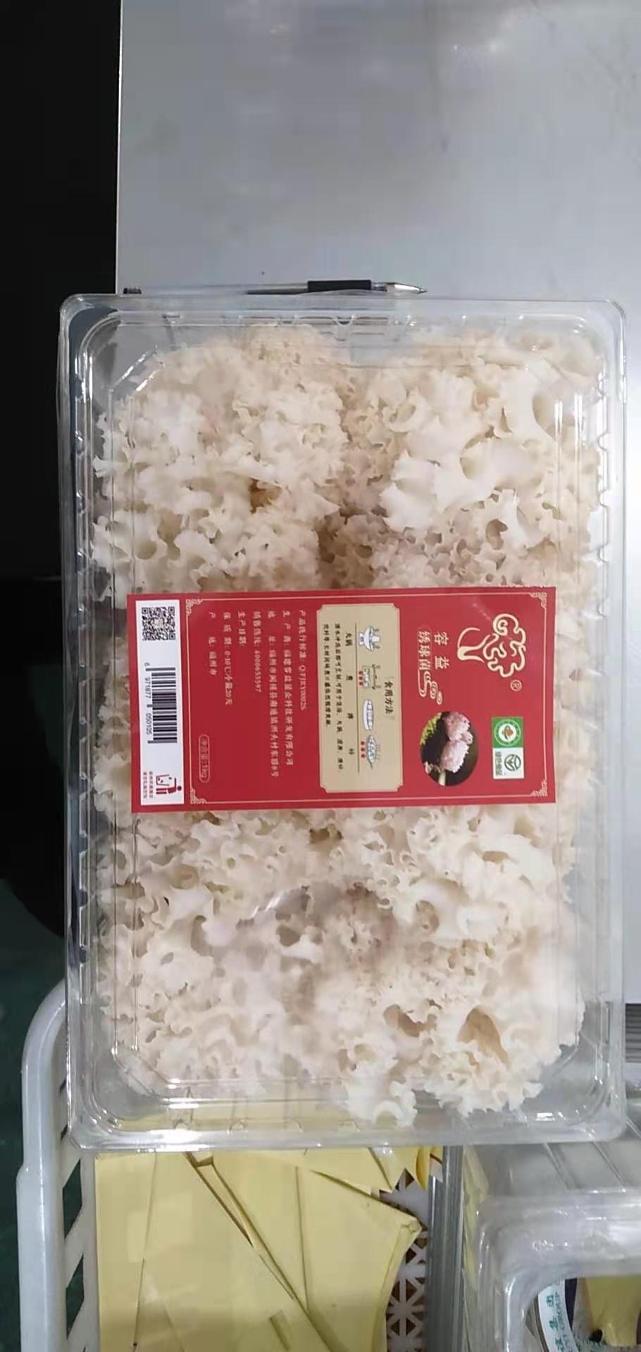 西安 绣球菌