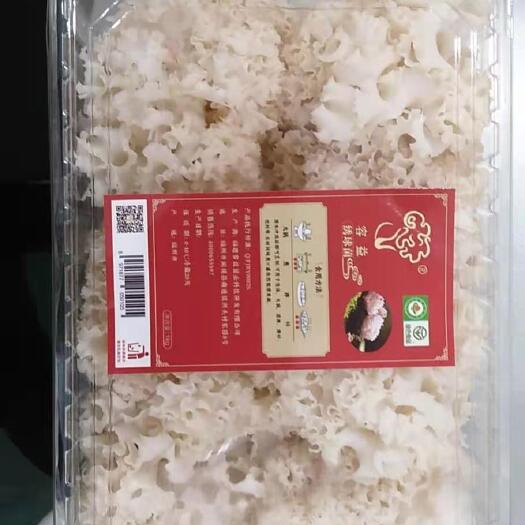 西安 绣球菌