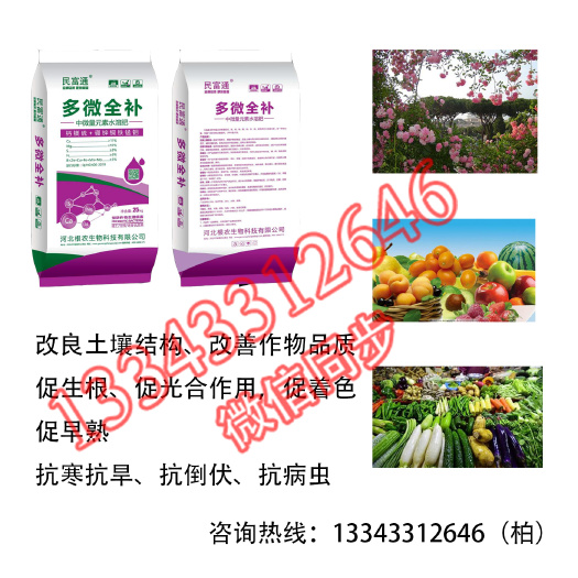 行唐县中量元素肥料  河北根农民富通中微量元素多微全补厂家直销产品
