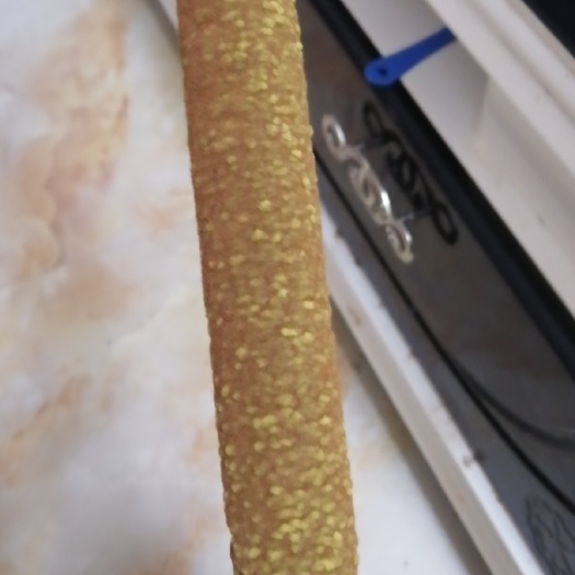 华宁县蒲黄 香蒲