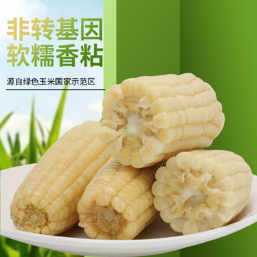 鸡泽县厂家生产直销真空包装香糯玉米棒，量大从优，可定制，代加工