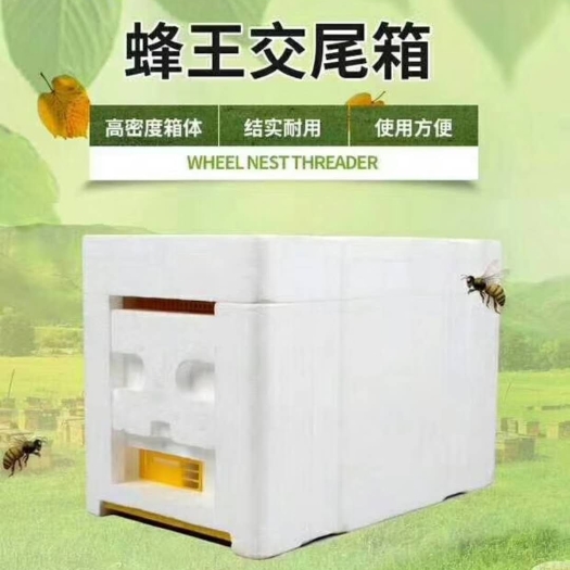 长葛市蜂具蜂王交尾箱小型中蜂意蜂养蜂工具高密度泡沫育王箱蜜蜂箱全套