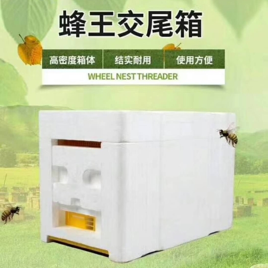 蜂具蜂王交尾箱小型中蜂意蜂养蜂工具高密度泡沫育王箱蜜蜂箱全套