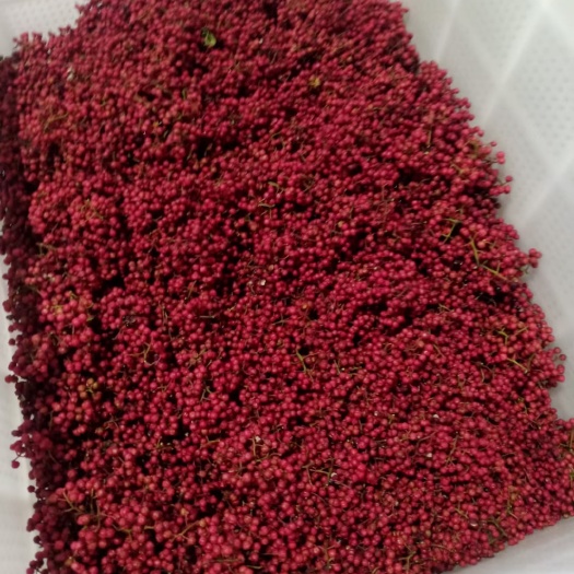 汉源县大红袍花椒 汉源花贡椒香味扑鼻川菜的灵魂