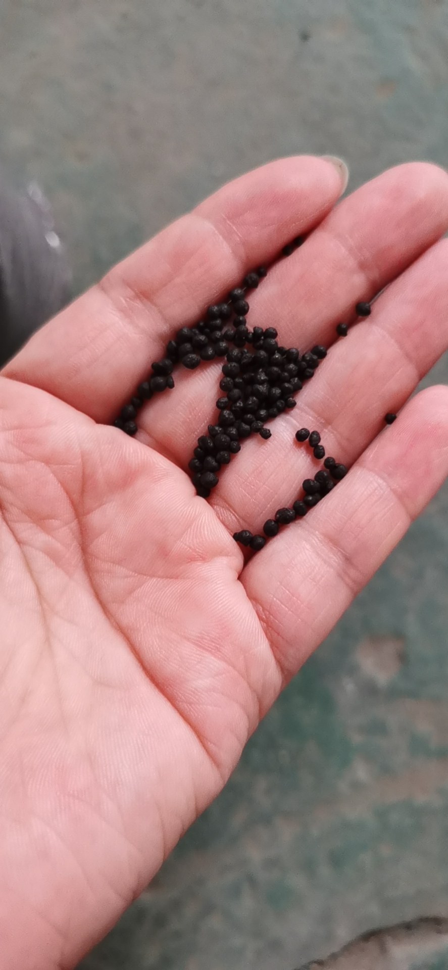 微生物有机肥   土壤修复 调理酸碱 促进根系发达 长势旺