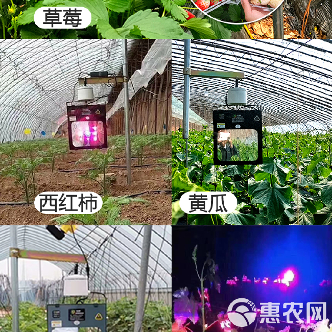 植物补光灯  厂家直销红皎阳植物生长灯阴雨天室内育苗蔬菜种植