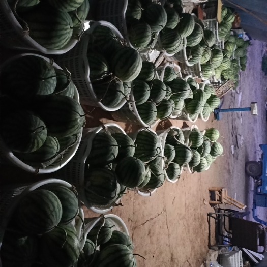 凤县美都西瓜  美都二茬黑籽西瓜