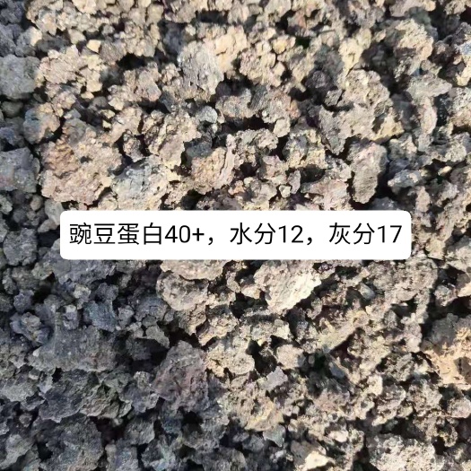 石家庄胚芽饼 豌豆蛋白40+，水分12