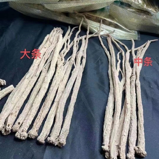 玉林白条党参 党参