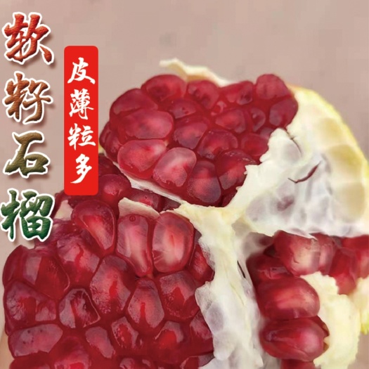 会理市会理石榴突尼斯软籽石榴