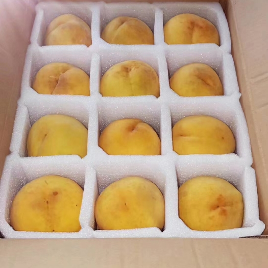 响水县 锦绣黄桃熟了有需要的联系我