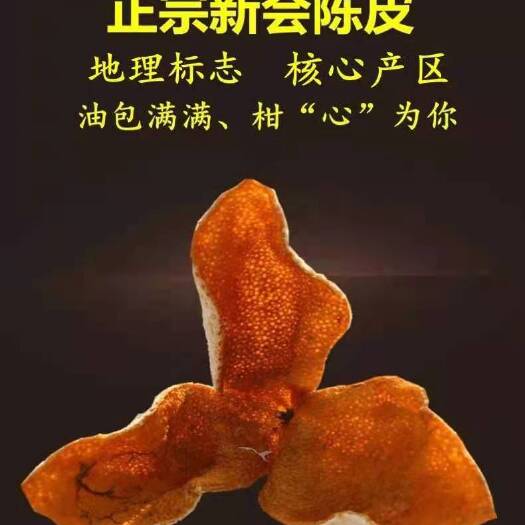 江门2023产新会天马大红柑陈皮自然陈化干仓农家自产自销新会发货
