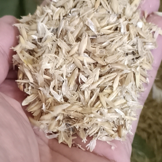 满洲里市俄罗斯燕麦壳