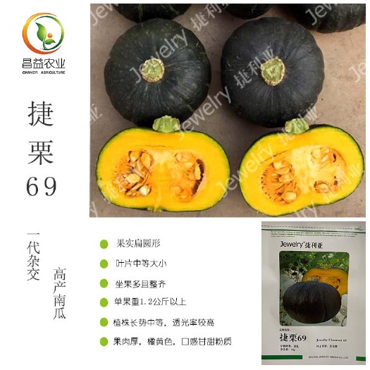 青栗南瓜种子  捷栗69南瓜种籽孑 北京捷利亚高产青黑皮春秋播大果板栗南瓜种